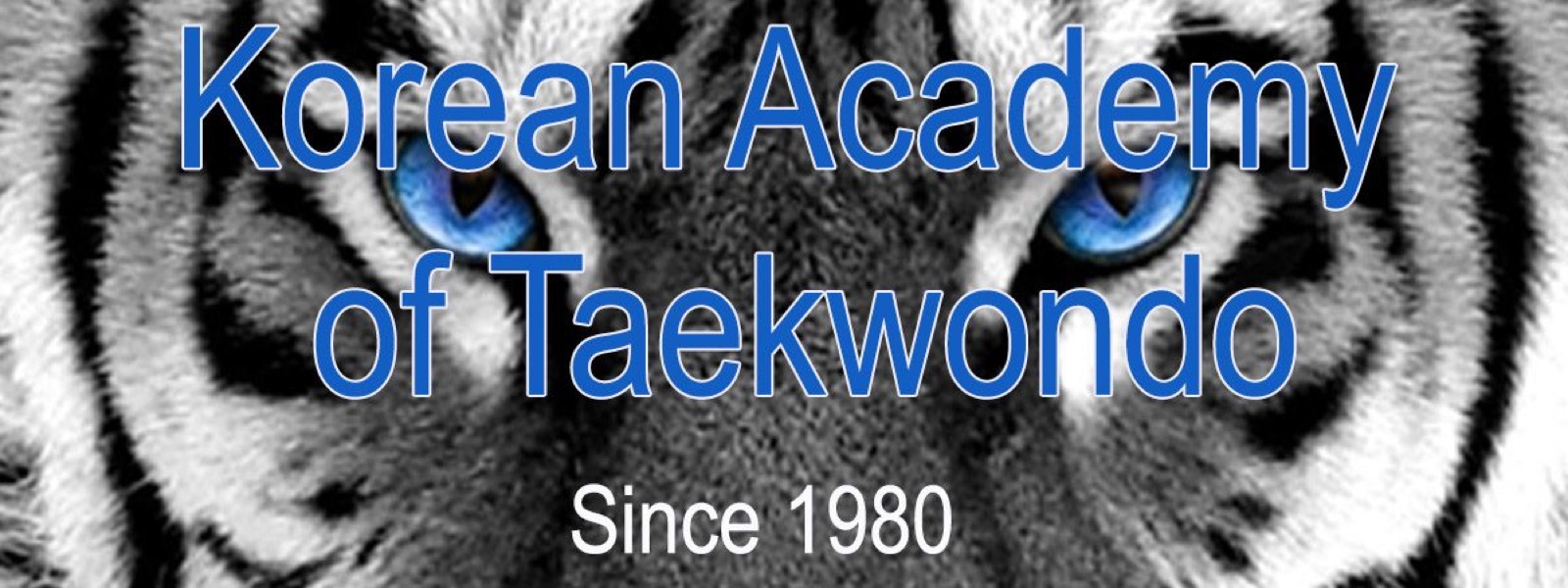 Tiger eyes behind the Korean Academy name